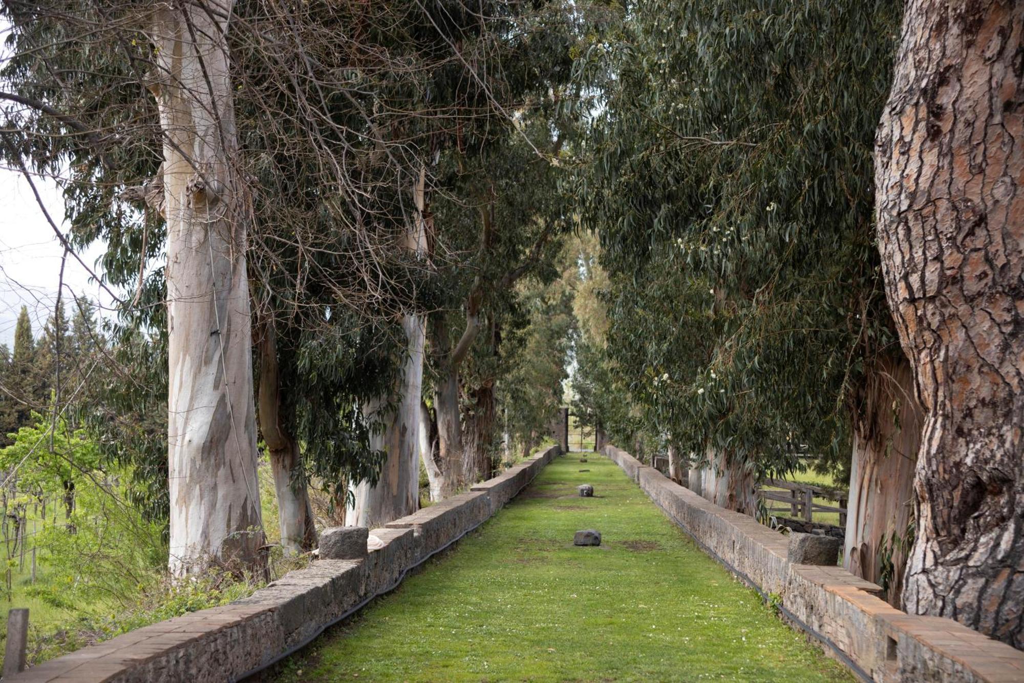 Вилла Parco Statella Montelaguardia Экстерьер фото