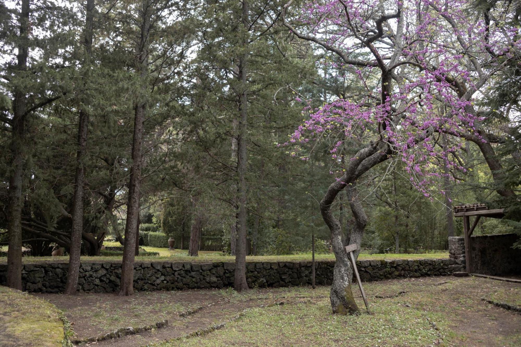 Вилла Parco Statella Montelaguardia Экстерьер фото