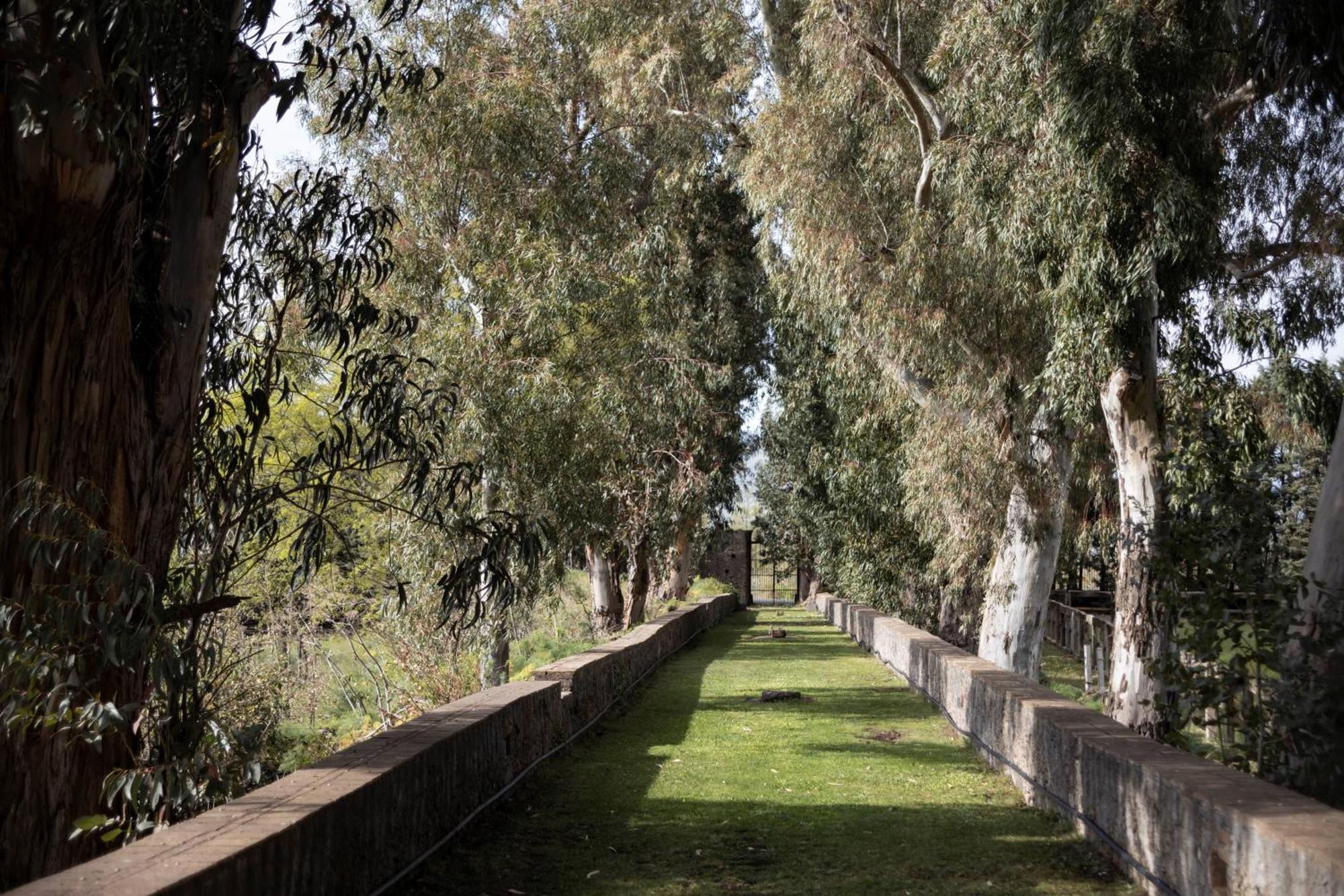 Вилла Parco Statella Montelaguardia Экстерьер фото